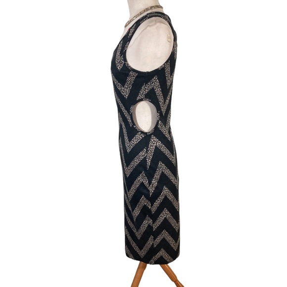 Sold! Modern Zig Zag Animal Print Body-con Dress - Picture 4 of 4